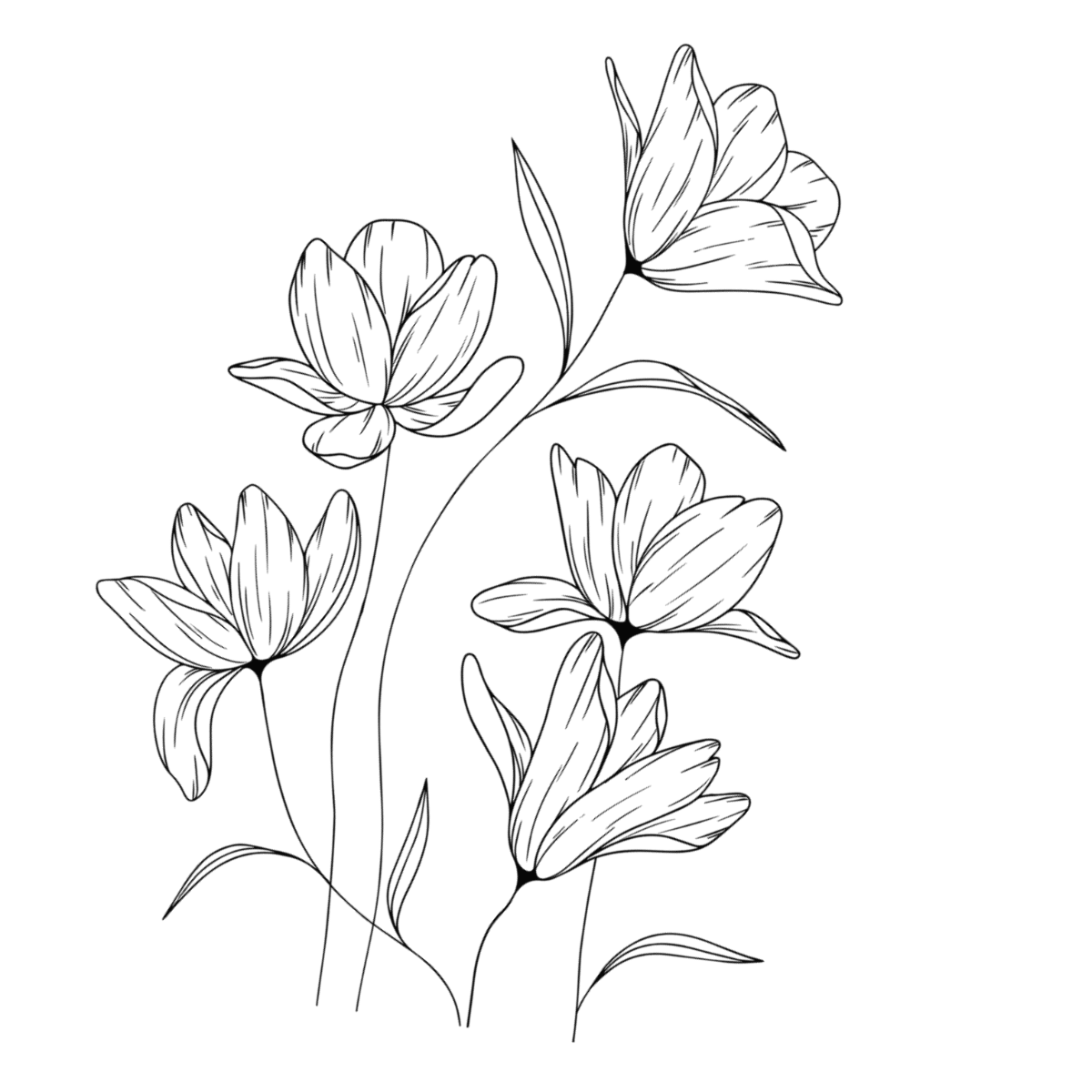 Free Drawing Flower Clipart to Edit Online