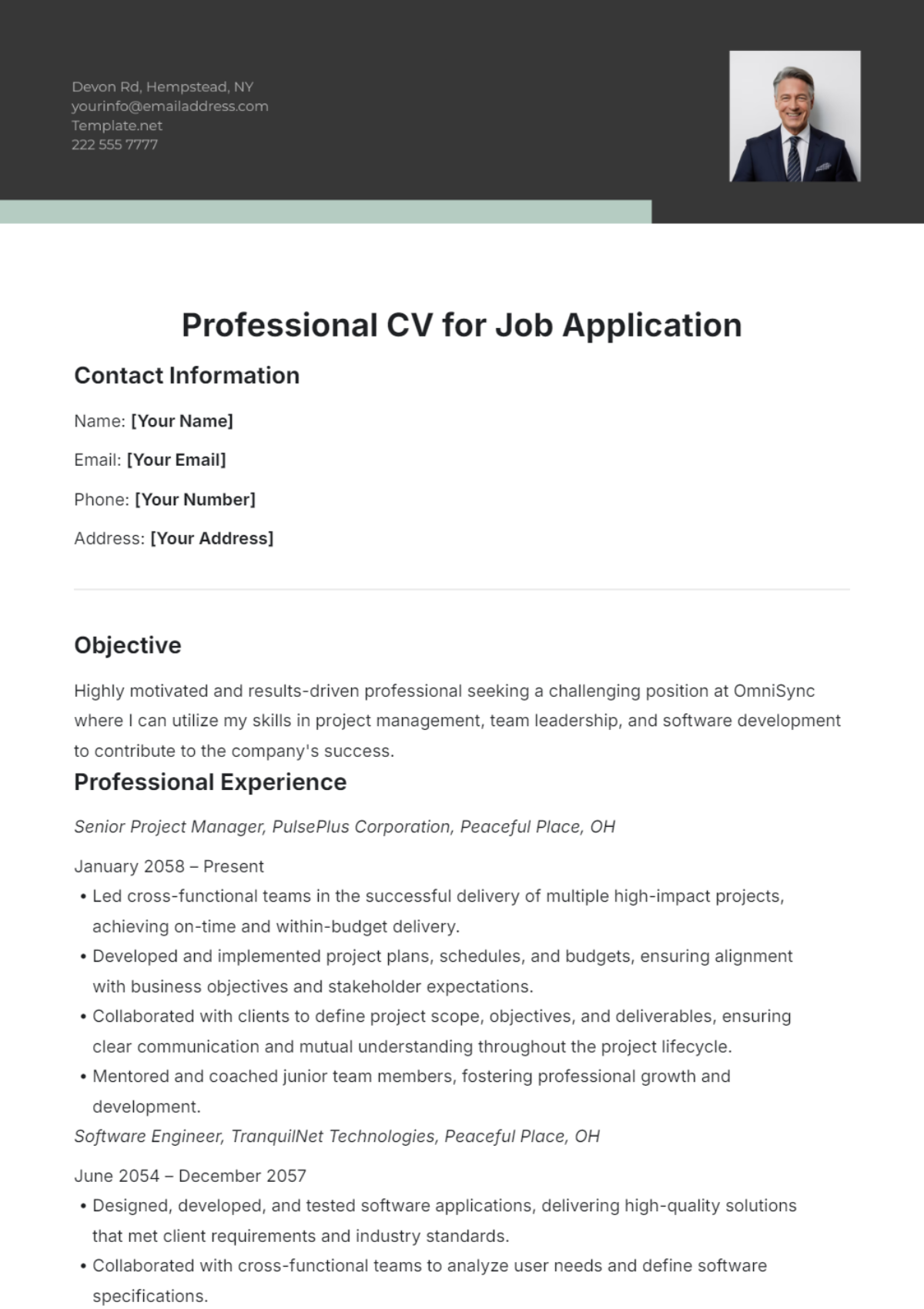 Professional Cv Template For Job Application