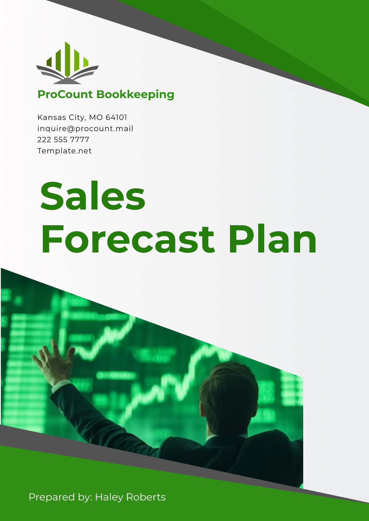 Free Sales Forecast Plan Template to Edit Online